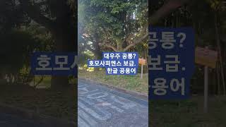대우주 공통? 호모사피엔스 보급. 한글 공용어#한글 #단군 #호모사피엔스 #대우주우점종