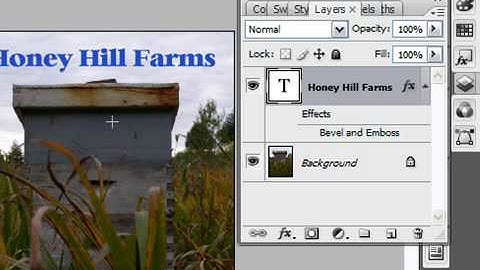 Delete a Layer in Photoshop CS3