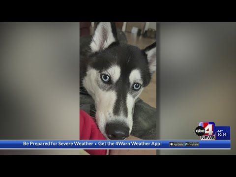 Army Reservist's plea