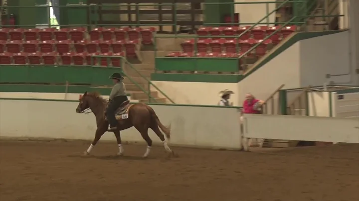 190505 Beginner Laurel Turner on Whizin In My Benz
