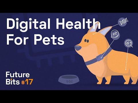 Video: High-Tech veterinári: Lepšie Pet Zdravotníctvo