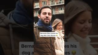 Bernardo silva names his dog after John Stones😂🤣