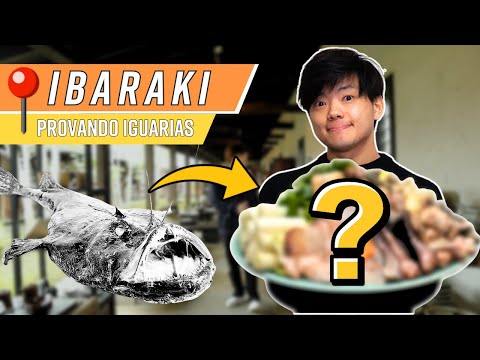 Provando tamboril, visitando atelier de cerâmica e festival de castanha portuguesa! #ibaraki #japão