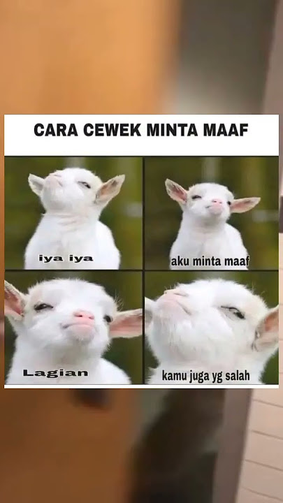 Cara cewek minta maaf momen...