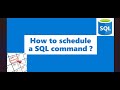SQL | How to schedule a SQL command | MS SQL | SQL Server Agent