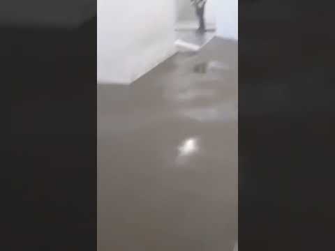 Зачем нужно поливать