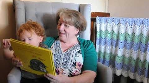 The Dinky Donkey - The Scottish Granny