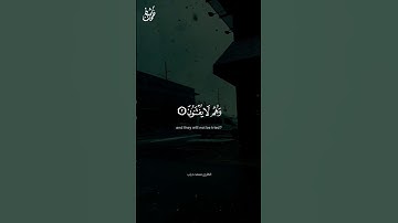 أرح سمعك ❤️‍🩹 - القارئ محمد دياب #نفحات_شبان