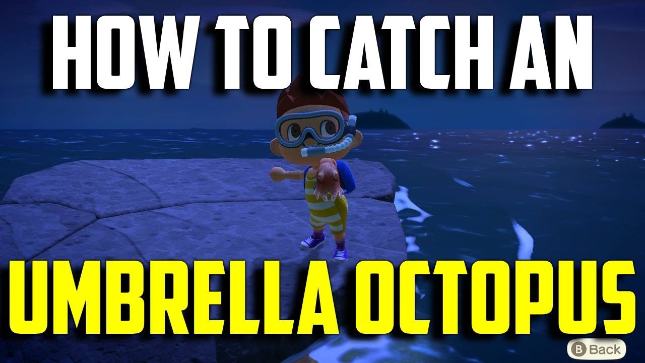 How To Catch An Umbrella Octopus Umbrella Octopus Animal Crossing New 