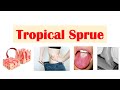 Tropical sprue  causes pathogenesis signs  symptoms diagnosis treatment