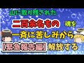 『ゆっくり解説』山に取り残された、200数名の魂を一斉に浄霊する【緊急報告編】