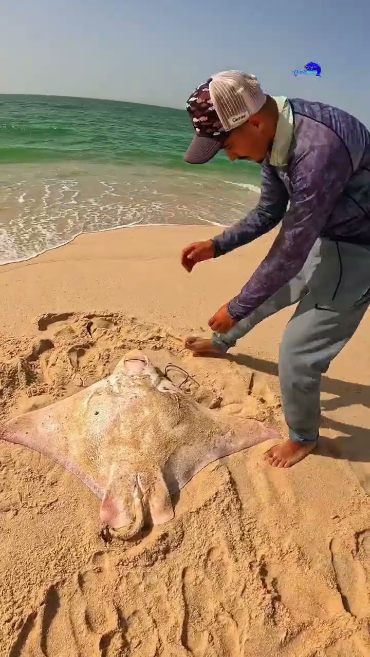 Man Rescue This Sea Creature! Here How!