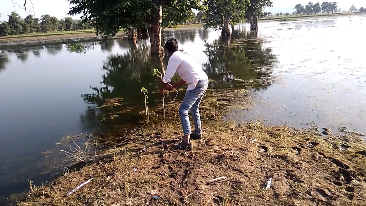 Bargi Dam Big Fish Part 2 YouTube bargi-dam-big-fish-part-2-youtube