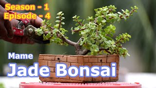 Mame Jade Bonsai S1E4