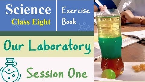 OUR LABORATORY || SESSION 1