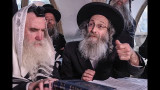 ר' מיילך בידרמן מדבר ממעלת הצדקה - Rabbi Elimelech Biderman