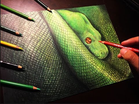 Drawing a Realistic Snake - YouTube