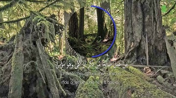 مَا عِندَكُمْ يَنفَدُ ۖ وَمَا عِندَ اللَّهِ بَاقٍ ۗ - سورة النحل  96 - 97 | احمد العجمي
