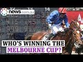 2020 Melbourne Cup Tips and Best Bets! - YouTube