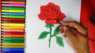 rose draw easy drawing plant drawings roses step flower simple flowers very painting 3d getdrawings pages visit paintingvalley