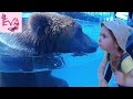 Зоопарк 12 месяцев ЗАБАВНЫЕ ЖИВОТНЫЕ  Демидов Киев Happy Kids At The 12 Month Kiev Zoo Видео для дет