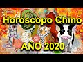 Predicciones Horóscopo Chino 2020 - TODOS LOS SIGNOS | Año de la Rata de Metal