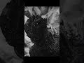 Gojira 1954 vs Showa Godzilla 1955