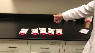 Pink Zebra - Blending Bag Capacity Explained