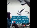 اجمل حالات واتساب عن الحياه ب تجنن