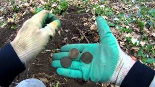 Видео МЕТАЛЛОИСКАТЕЛЬ Minelab CTX 3030 В ЛЕСУ (автор: Поиск золота)