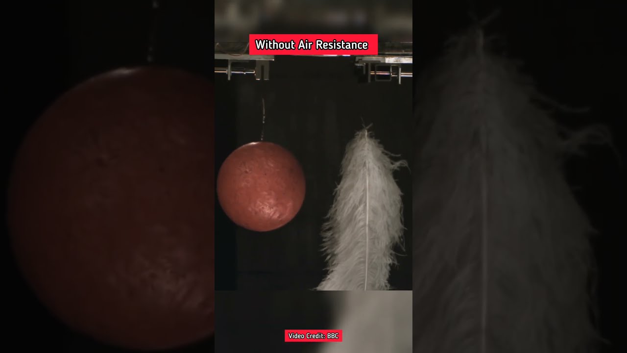 Objects With Different Masses Fall At The Same Rate Physics