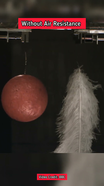 Objects with different masses fall at the same rate #physics