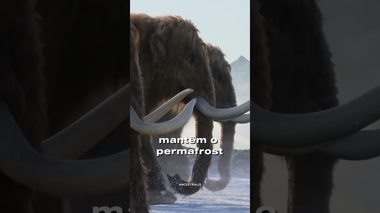 OS CIENTISTAS VÃO TRAZER O MAMUTE DE VOLTA?