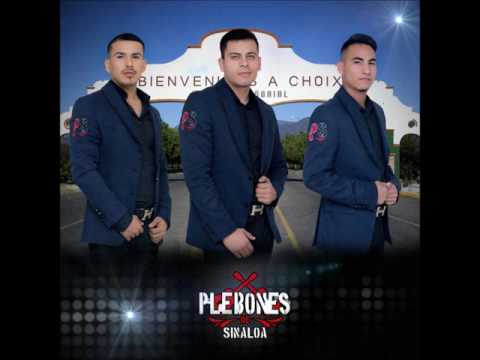 CORRIDO DE DON FELIX plebones de sinaloa 2017