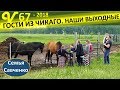 Гости в многодетной семье. Тур по ферме бизонов! Пение, общение семья Савченко