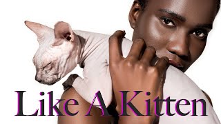 LIKE A KITTEN | Interview with Shae at CURVE NY | New York Fashion Week 2024