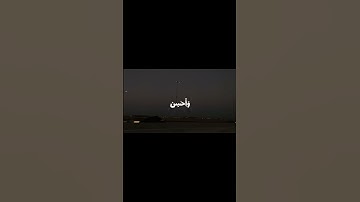 وَٱبتَغِ فِيمَآ آتَاكَ ٱللَّهُ ٱلدارَ ٱلۡأٓخِرَةَ |سورة القصص - الآية 77 | القارئ عبد البديع غيلان
