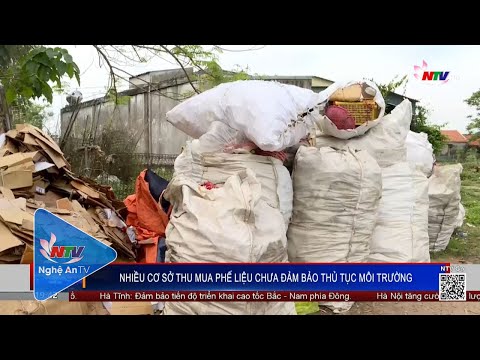 Video Nhiều cơ sở thu mua phế liệu chưa đảm bảo thủ tục môi... - youtube