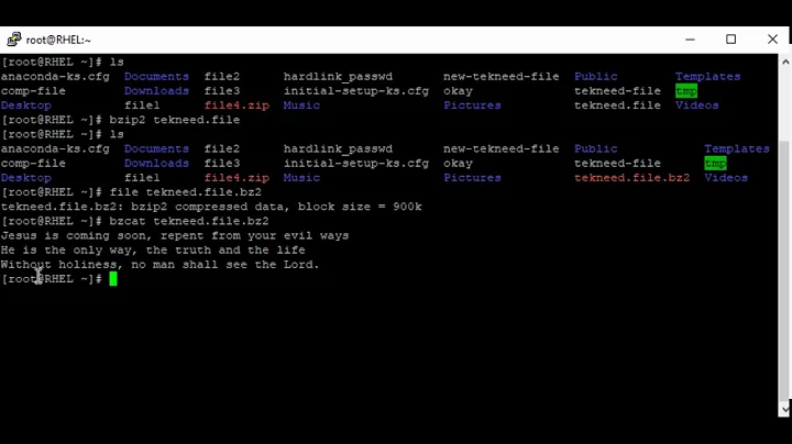 Archiving & Compressing Files and Directories in Linux Using bzip2 (MODULE 5.0C)