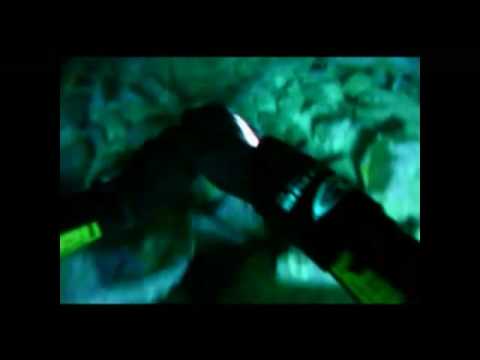 Mike Wells - in a world first freedives Australias...