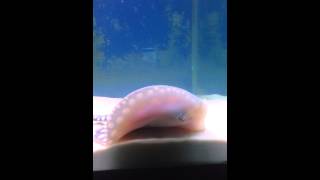IMG 5742