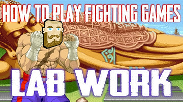 How To Play Fighting Games  | Lab Work