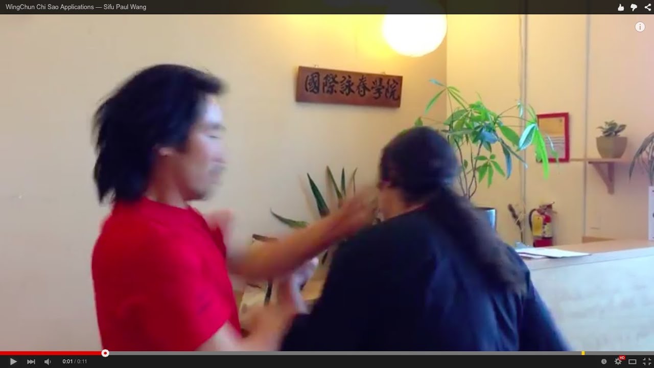 WingChun Chi Sao Applications — Sifu Paul Wang