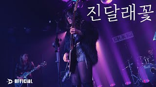 [LIVE] DIH (동이혼) - 진달래꽃 (Maya Cover)