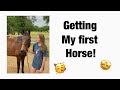 Getting My First Horse