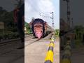 Dangerous monkey, new express train level crossing#train #shorts