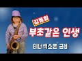 부초같은인생 색소폰연주 (테너)금비