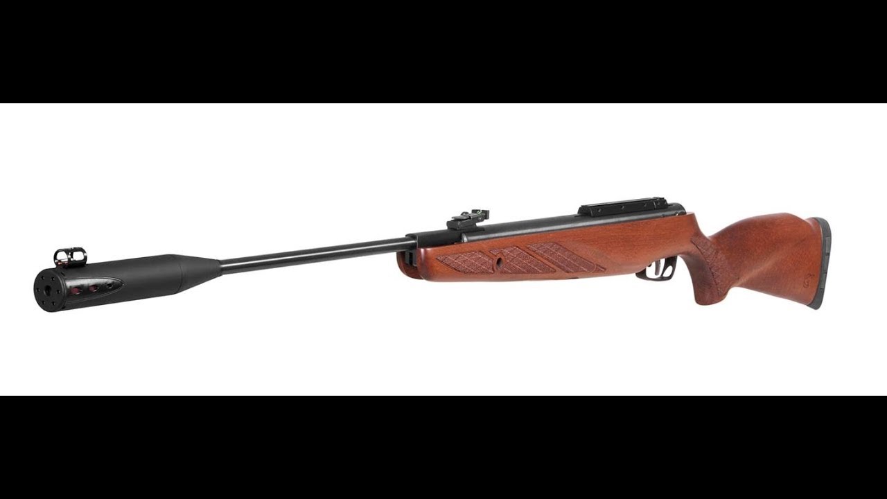 Пневматическая винтовка Gamo Hunter 1250. Гамо Гризли 1250. Gamo Hunter 1250 Grizzly Pro. Gamo Hunter 1250 Grizzly IGT mach1.