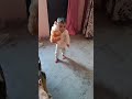 # cute baby # khilone wale din kaha se launga 😘😘# mini vlog