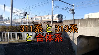 311系と313系と合体系(併結運用)　いろいろな列車　Various trains